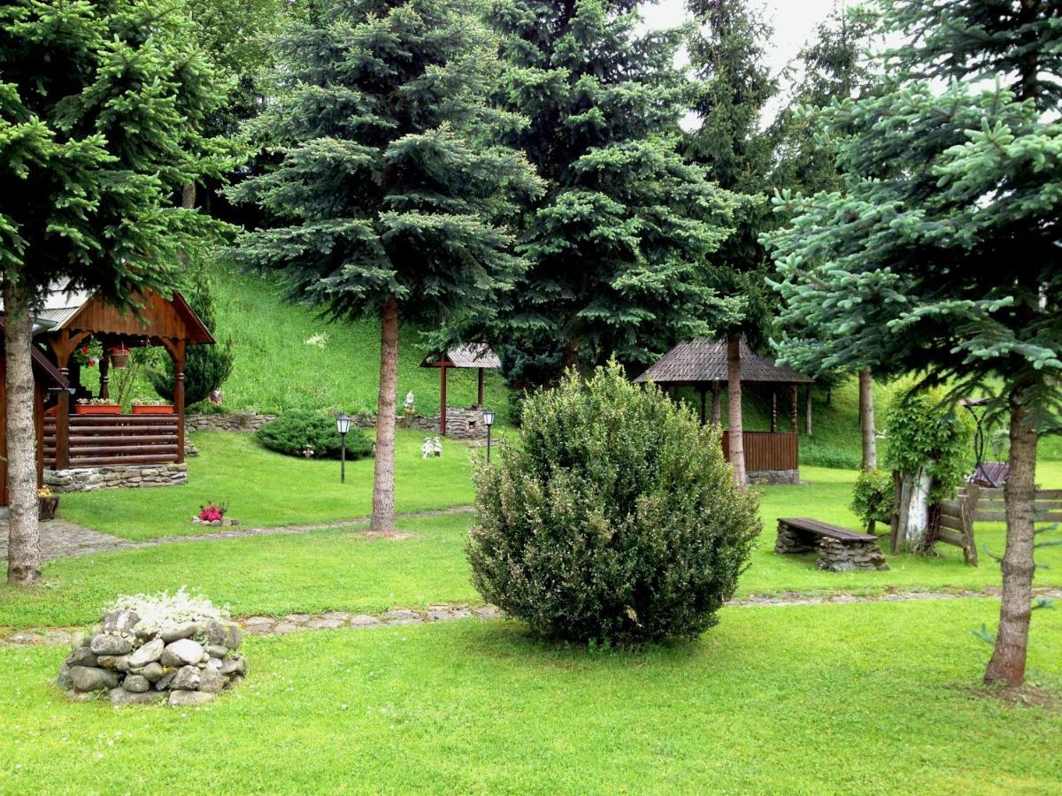 Pensiunea Turlas Maria Săliştea de Sus エクステリア 写真